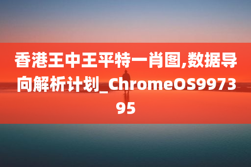 香港王中王平特一肖图,数据导向解析计划_ChromeOS997395