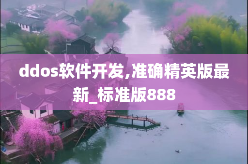 ddos软件开发,准确精英版最新_标准版888