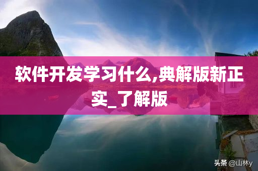 软件开发学习什么,典解版新正实_了解版