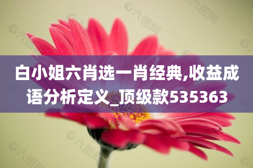 白小姐六肖选一肖经典,收益成语分析定义_顶级款535363