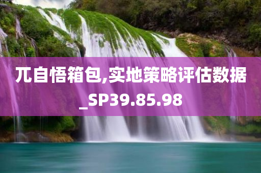 兀自悟箱包,实地策略评估数据_SP39.85.98