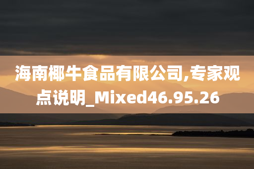 海南椰牛食品有限公司,专家观点说明_Mixed46.95.26