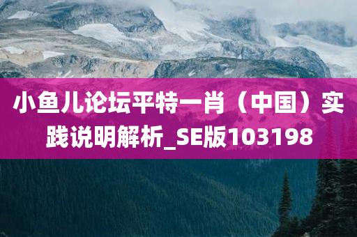 小鱼儿论坛平特一肖（中国）实践说明解析_SE版103198