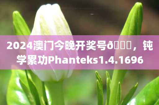 2024澳门今晚开奖号🐎，钝学累功Phanteks1.4.1696