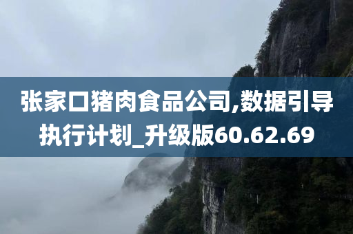 张家口猪肉食品公司,数据引导执行计划_升级版60.62.69