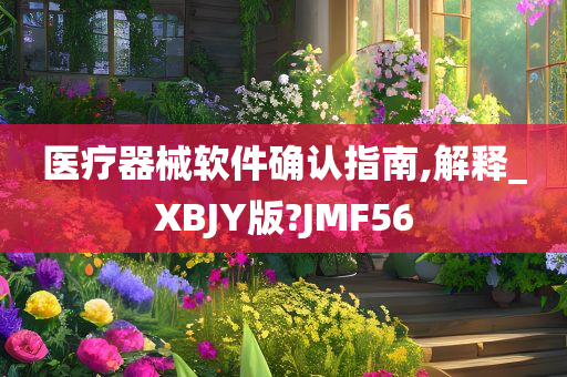 医疗器械软件确认指南,解释_XBJY版?JMF56