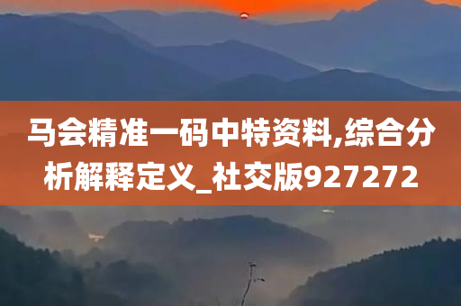 马会精准一码中特资料,综合分析解释定义_社交版927272