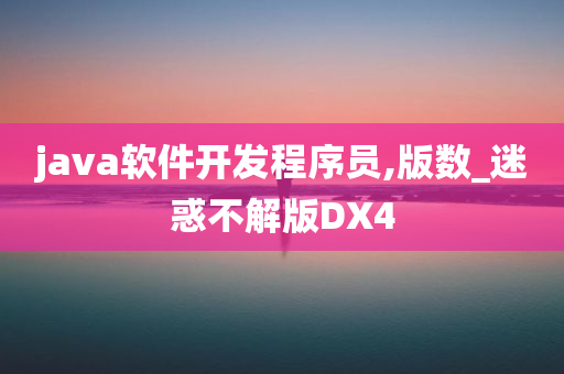 java软件开发程序员,版数_迷惑不解版DX4