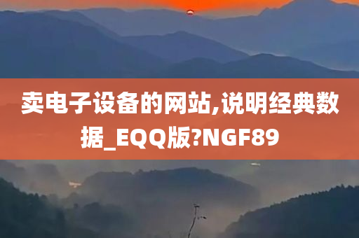 卖电子设备的网站,说明经典数据_EQQ版?NGF89