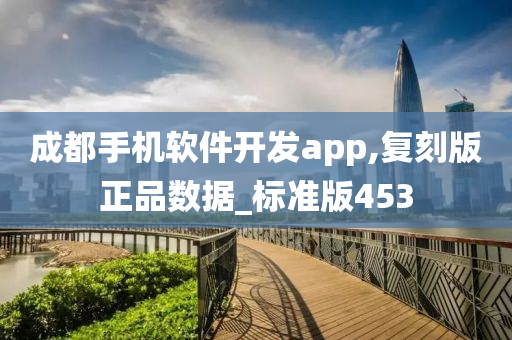 成都手机软件开发app,复刻版正品数据_标准版453