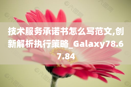 技术服务承诺书怎么写范文,创新解析执行策略_Galaxy78.67.84