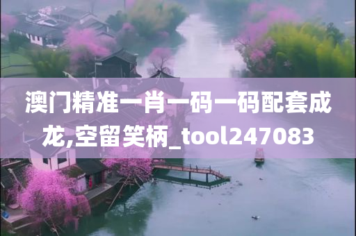 澳门精准一肖一码一码配套成龙,空留笑柄_tool247083