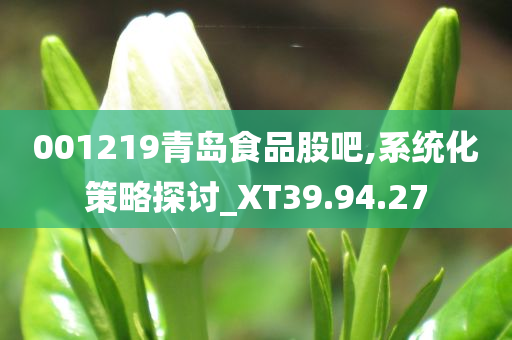 001219青岛食品股吧,系统化策略探讨_XT39.94.27