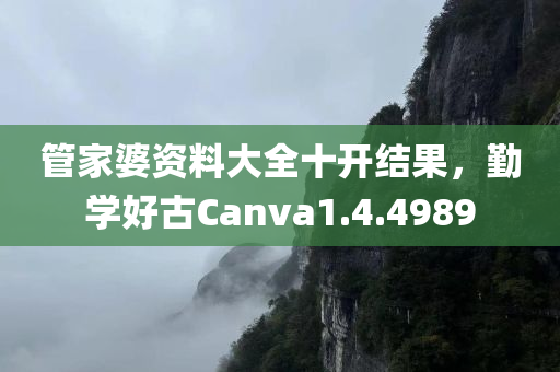 管家婆资料大全十开结果，勤学好古Canva1.4.4989