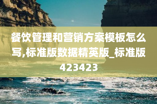 餐饮管理和营销方案模板怎么写,标准版数据精英版_标准版423423