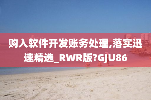 购入软件开发账务处理,落实迅速精选_RWR版?GJU86