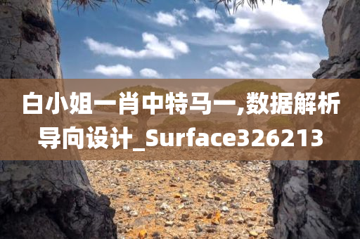 白小姐一肖中特马一,数据解析导向设计_Surface326213