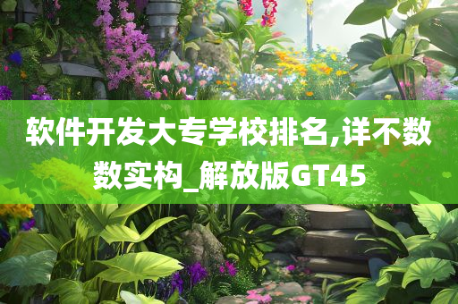 软件开发大专学校排名,详不数数实构_解放版GT45