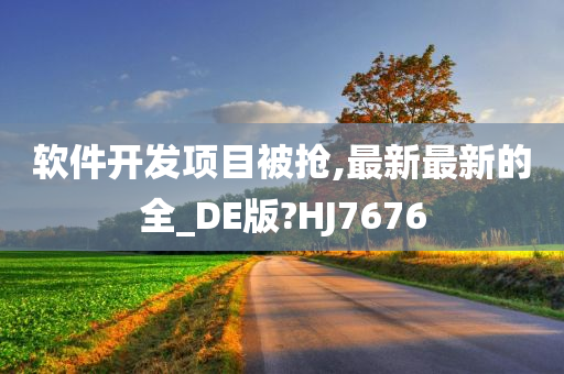 软件开发项目被抢,最新最新的全_DE版?HJ7676