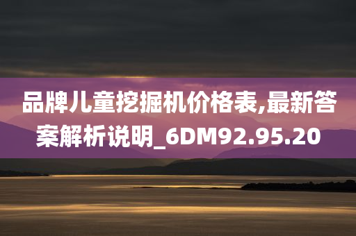 品牌儿童挖掘机价格表,最新答案解析说明_6DM92.95.20