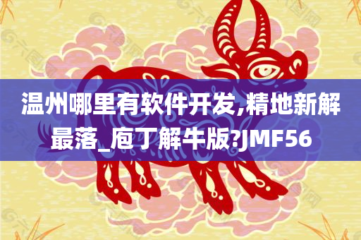 温州哪里有软件开发,精地新解最落_庖丁解牛版?JMF56