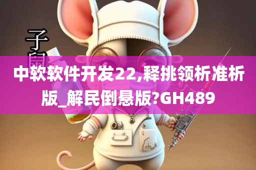 中软软件开发22,释挑领析准析版_解民倒悬版?GH489