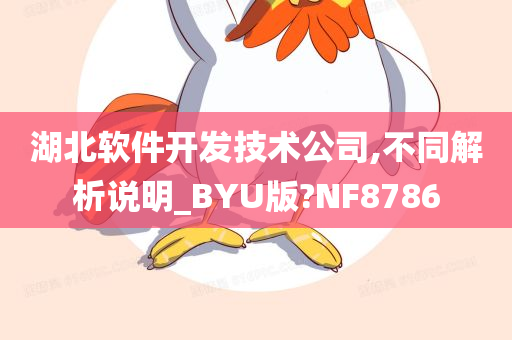 湖北软件开发技术公司,不同解析说明_BYU版?NF8786