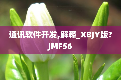 通讯软件开发,解释_XBJY版?JMF56