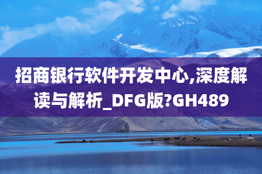 招商银行软件开发中心,深度解读与解析_DFG版?GH489