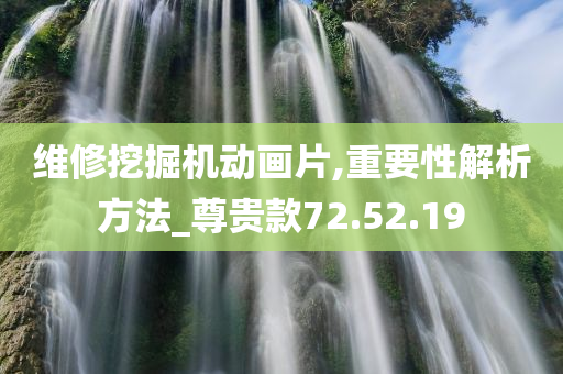 维修挖掘机动画片,重要性解析方法_尊贵款72.52.19