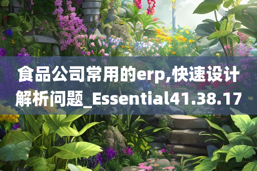 食品公司常用的erp,快速设计解析问题_Essential41.38.17