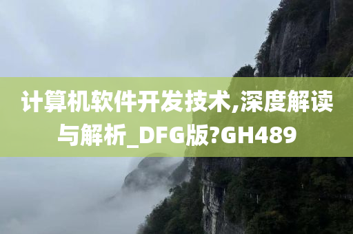 计算机软件开发技术,深度解读与解析_DFG版?GH489