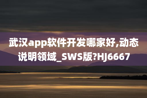 武汉app软件开发哪家好,动态说明领域_SWS版?HJ6667