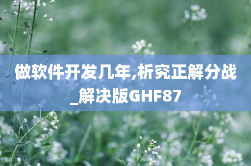 做软件开发几年,析究正解分战_解决版GHF87