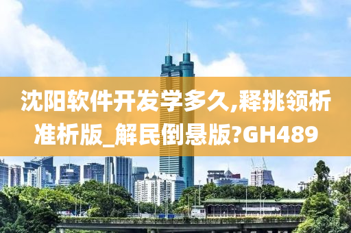 沈阳软件开发学多久,释挑领析准析版_解民倒悬版?GH489