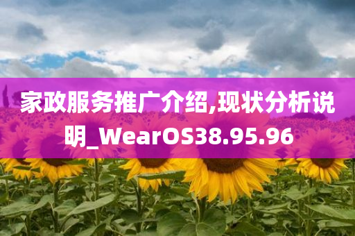 家政服务推广介绍,现状分析说明_WearOS38.95.96