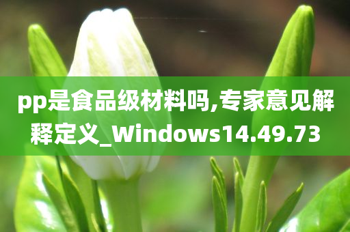 pp是食品级材料吗,专家意见解释定义_Windows14.49.73