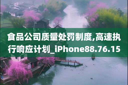 食品公司质量处罚制度,高速执行响应计划_iPhone88.76.15