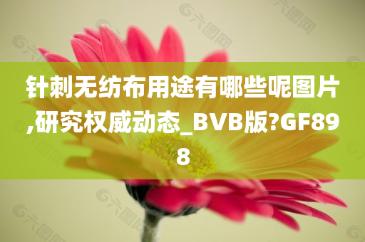 针刺无纺布用途有哪些呢图片,研究权威动态_BVB版?GF898