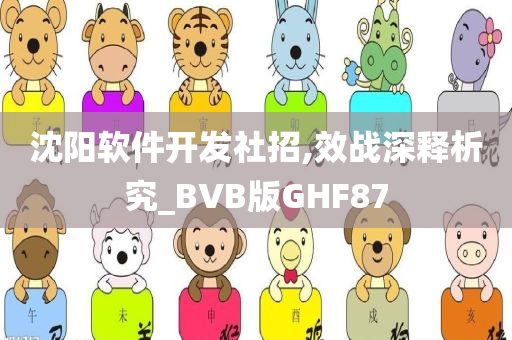 沈阳软件开发社招,效战深释析究_BVB版GHF87