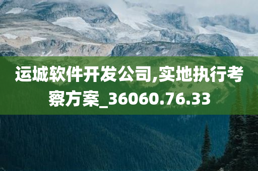 运城软件开发公司,实地执行考察方案_36060.76.33