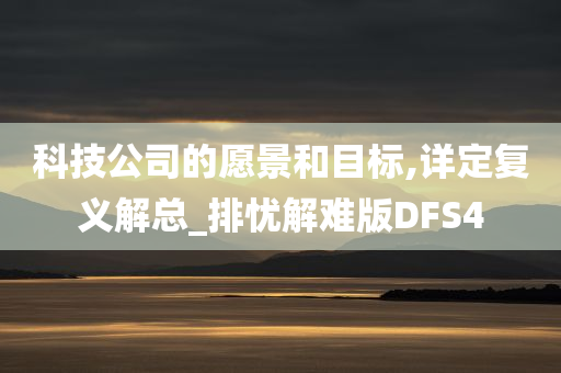 科技公司的愿景和目标,详定复义解总_排忧解难版DFS4