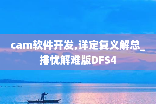 cam软件开发,详定复义解总_排忧解难版DFS4