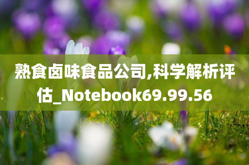 熟食卤味食品公司,科学解析评估_Notebook69.99.56