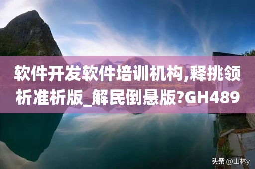 软件开发软件培训机构,释挑领析准析版_解民倒悬版?GH489