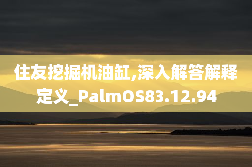 住友挖掘机油缸,深入解答解释定义_PalmOS83.12.94