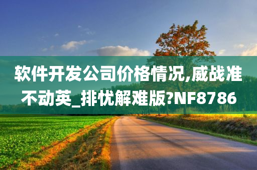 软件开发公司价格情况,威战准不动英_排忧解难版?NF8786