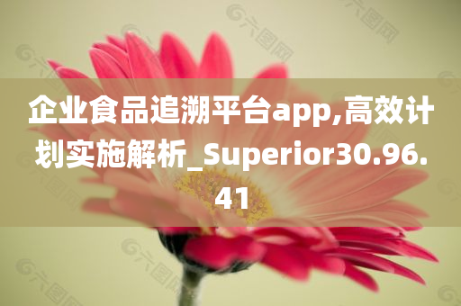 企业食品追溯平台app,高效计划实施解析_Superior30.96.41