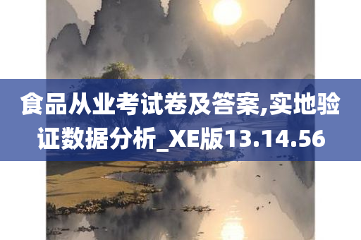 食品从业考试卷及答案,实地验证数据分析_XE版13.14.56