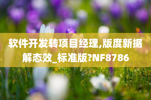 软件开发转项目经理,版度新据解态效_标准版?NF8786